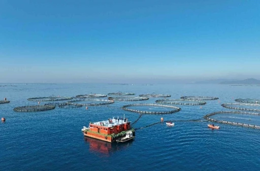 Aydın’da su ürünleri destekleme başvuruları başladı
