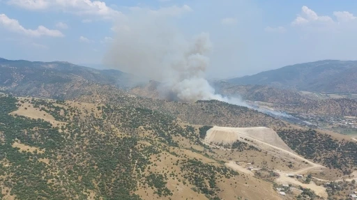 Aydın’da zirai alan yangını
