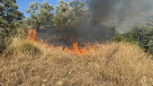 Aydın’da zirai alanda yangın çıktı
