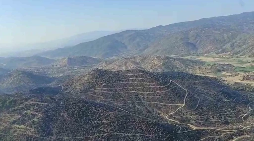 Aydın’daki yangın kontrol altına alındı
