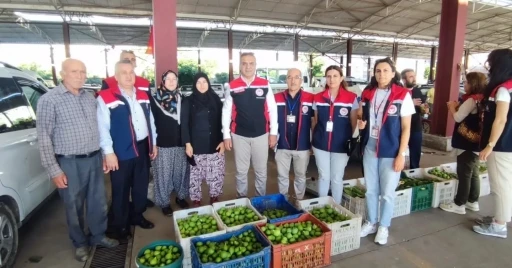 Aydın inciri i&ccedil;in denetimler s&uuml;r&uuml;yor
