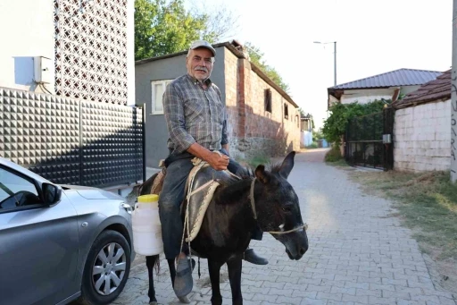 Ayhan amca yokluktan değil, s&uuml;r&uuml;c&uuml; belgesi olmadığından eşeği ile servis yapıyor
