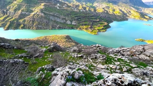 Ayı Nevruzu Gerger kayalıklarını renklendirdi
