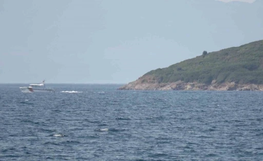 Ayvalık&rsquo;ta denizde kaybolan genci arama &ccedil;alışmaları aralıksız s&uuml;r&uuml;yor
