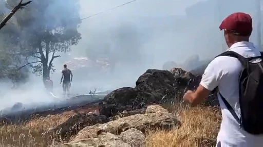 Ayvalık’ta orman yangını
