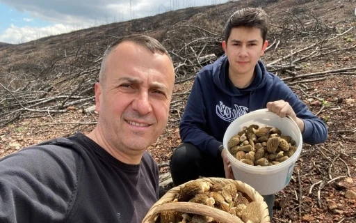 Baba ve oğlunun y&uuml;z&uuml;n&uuml; g&uuml;ld&uuml;ren mantar avı
