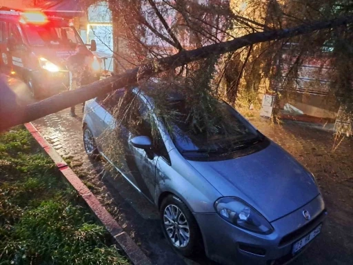 Babaeski&rsquo;de kuvvetli r&uuml;zgarda otomobilin &uuml;zerine ağa&ccedil; devrildi
