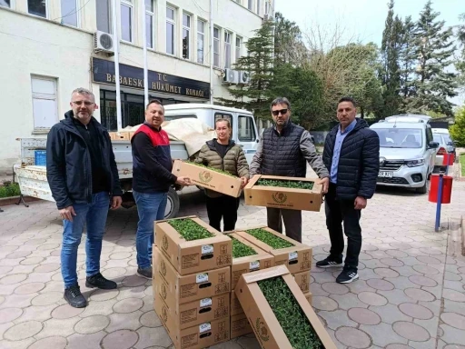 Babaeski&rsquo;de &uuml;reticiye 2 bin kırmızı domates fidesi verildi
