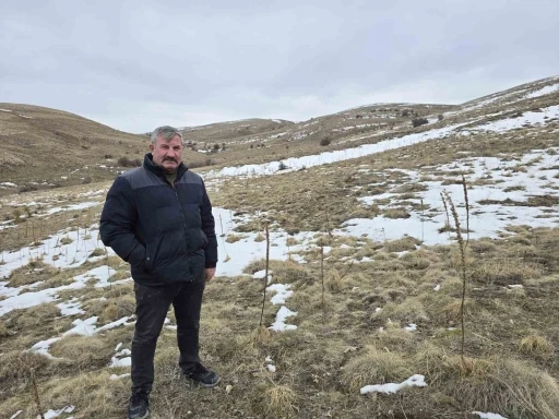 Babasıyla tartıştı, vadeli koyun alarak kendi s&uuml;r&uuml;s&uuml;ne sahip oldu
