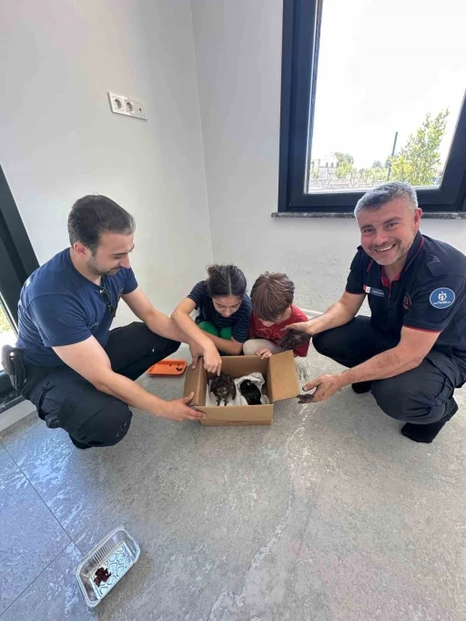Bacadan kurtarılan baykuşlar Ormanya’ya teslim edildi
