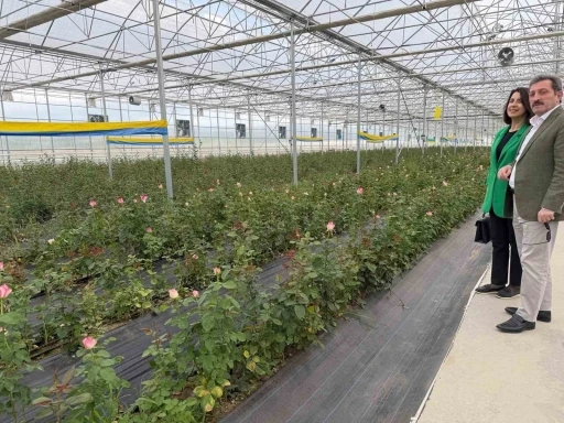 Bafra&rsquo;da sera yatırımları artıyor
