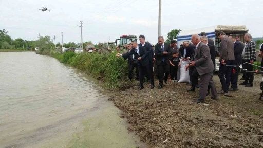 Bafra Ovası&rsquo;nda &ccedil;eltik mesaisi başladı: &Uuml;retimin kalbi yine Bafra
