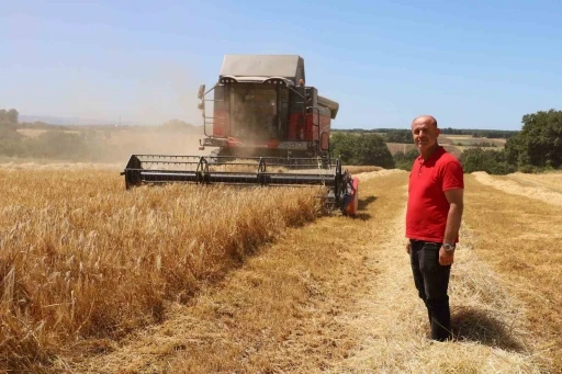 Bafra Ovası’nda hasat başladı: &quot;Buğdaydan önce umutları biçiyoruz&quot;
