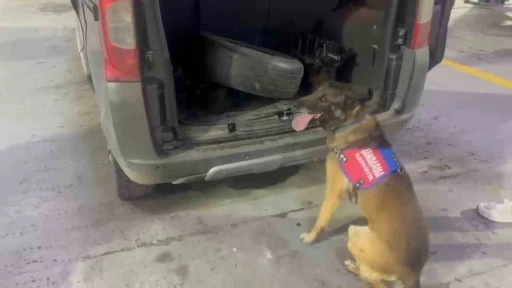 Bagaj ve kaputa gizlenen uyuşturucuyu narkotik k&ouml;peği &lsquo;Ayar&rsquo; buldu
