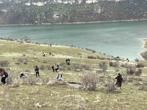 Bahar &ccedil;i&ccedil;eği nergisler doğaseverlerin ilgi odağı oldu

