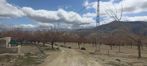 Bahçelerde ateş yakıldı, meyve üreticileri zirai don tehlikesine önlem aldı
