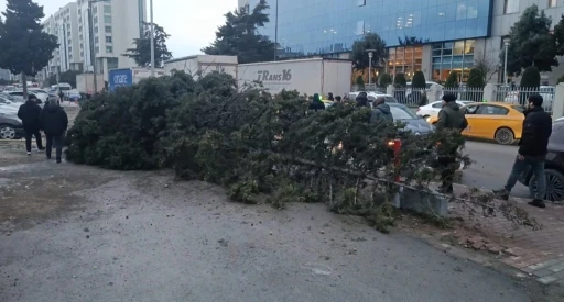 Bah&ccedil;elievler&rsquo;de şiddetli r&uuml;zgar nedeniyle ağa&ccedil; devrildi: 1 kişi altında kaldı
