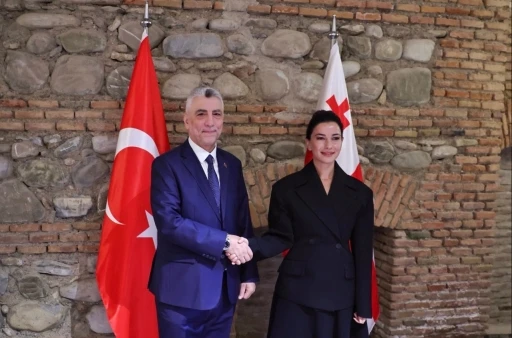 Bakan Bolat, G&uuml;rcistanlı mevkidaşı ile g&ouml;r&uuml;şt&uuml;
