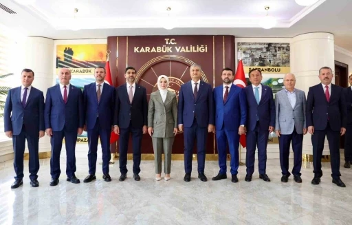 Bakan Göktaş: &quot;Balıkesir’de Bin 87 vatandaşımıza 143 personelimizle psikososyal destek ve çeşitli destekler sağladık&quot;
