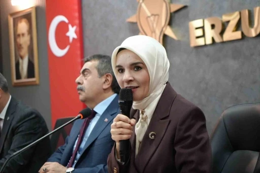 Bakan G&ouml;ktaş: "Biz hi&ccedil;bir zaman elimizi sahadan &ccedil;ekmedik, deprem turisti gibi oralara gitmiyoruz her zaman oradayız"
