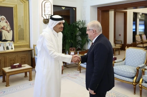 Bakan G&uuml;ler, Katar Dışişleri Bakanı Al Thani ile g&ouml;r&uuml;şt&uuml;
