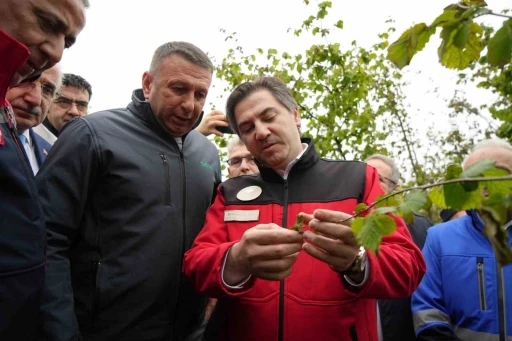 Bakan Yardımcısı Bağcı: &quot;Cumhuriyet tarihinin en büyük zirai don hadisesi&quot;
