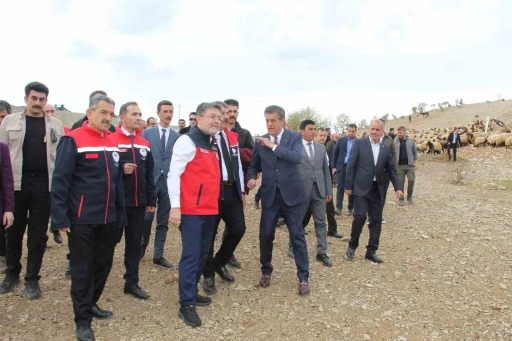 Bakan Yumaklı, Cudi Dağı eteklerinde kuzu koyun buluşmasını izledi
