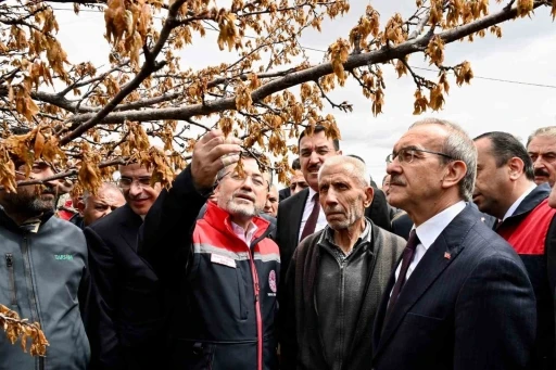 Bakan Yumaklı: &quot;Don zararı görülen bölgelerde tüm üreticilere destek sağlanacak&quot;
