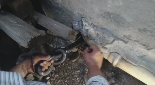 Bakmaya bile korkanlar varken o koluna dolanan 1 bu&ccedil;uk metrelik 2 yılanı saklandığı delikte yakaladı

