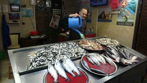 2025 Balık Sezonu Bereketli Geçti