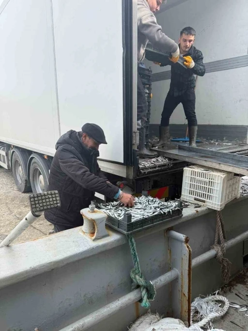 Balık&ccedil;ı Ramazan&rsquo;da &uuml;cretsiz hamsi dağıttı

