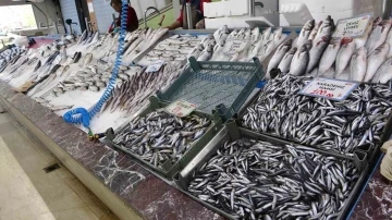 Balıkçılar geride kalan av sezonundan memnun
