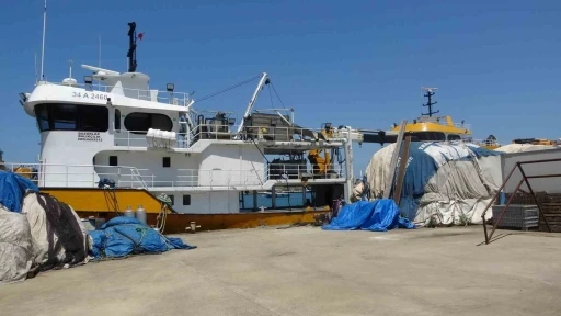 Balık&ccedil;ıların yeni sezonda umudu palamut
