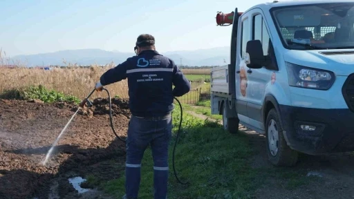 Balıkesir B&uuml;y&uuml;kşehir&rsquo;in haşerelere karşı m&uuml;cadelesi s&uuml;r&uuml;yor
