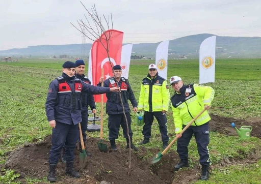 Balıkesir’de ağaçlandırma çalışmaları devam ediyor
