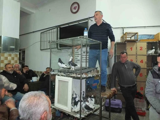 Balıkesir’de güvercin meraklıları buluştu
