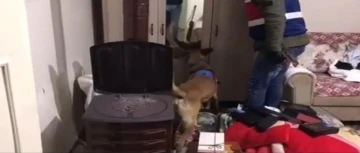 Balıkesir&rsquo;de jandarmadan 3 şahsa uyuşturucu operasyonu
