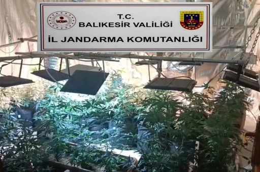 Balıkesir&rsquo;de jandarmadan uyuşturucu serasına &ccedil;evrilen evlere baskın: 12 g&ouml;zaltı
