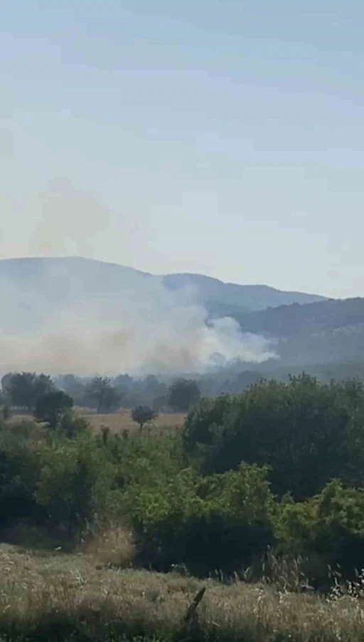 Balıkesir’de meralık alanda yangın
