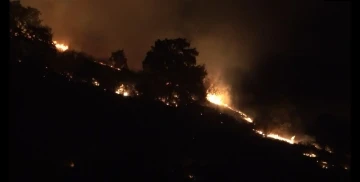 Balıkesir’de orman yangını söndürüldü
