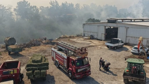Balıkesir&rsquo;de &uuml;&ccedil; ayrı noktada yangın
