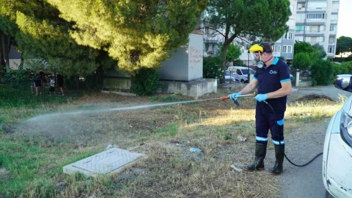 Balıkesir&rsquo;de vekt&ouml;rle m&uuml;cadelede tam zamanlı mesai
