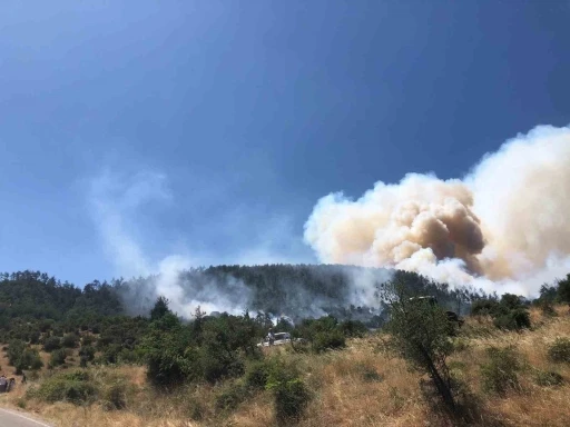 Balıkesir Kepsut&rsquo;ta orman yangını
