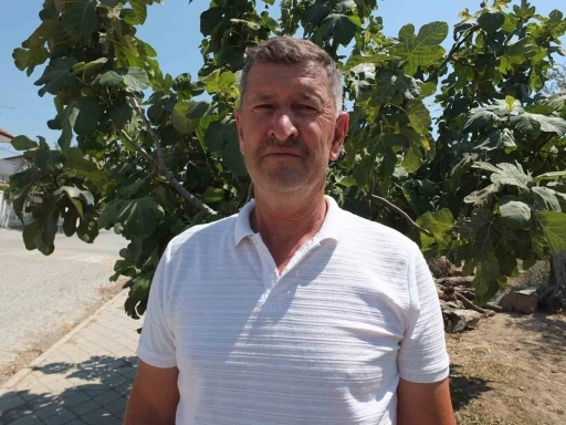 Balıkesirli çiftçi oturduğu caddeyi meyve ağaçlarıyla yeşillendirdi
