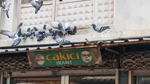 Balkonunu kuşlara sofra yaptı