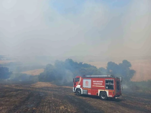 Bandırma&rsquo;da 4 ayrı noktada başlayan arazi yangını s&ouml;nd&uuml;r&uuml;ld&uuml;
