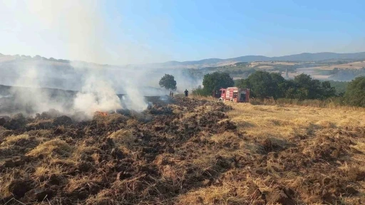 Bandırma&rsquo;da buğday tarlasında &ccedil;ıkan yangın ekiplerin m&uuml;dahalesiyle s&ouml;nd&uuml;r&uuml;ld&uuml;
