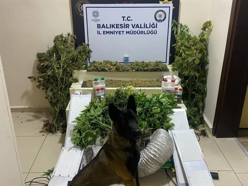 Bandırma’da zehir tacirlerine geçit yok: 1 gözaltı
