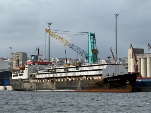 Bandırma’daki hayvan ithalatı tartışması yargıya taşındı
