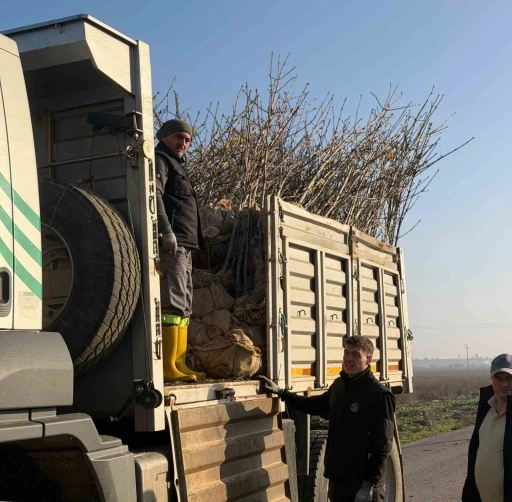 Bandırma&rsquo;nın 55&rsquo;inci kırsal mahallesinde 350 ağa&ccedil; toprakla buluştu
